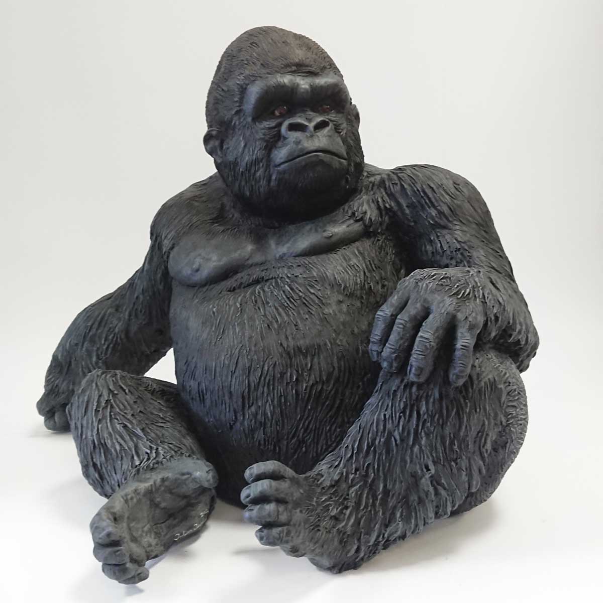 Julian Jardine - Silverback Gorilla
