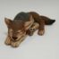 Julian Jardine - Sleeping Grey Wolf Cub front view