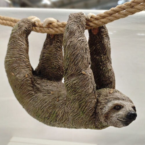 Julian Jardine - Sloth