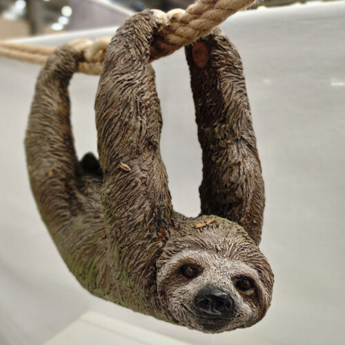 Julian Jardine - Sloth