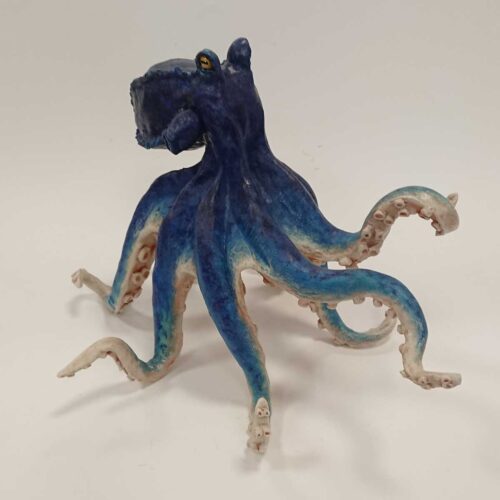 Julian Jardine - Small Blue Octopus