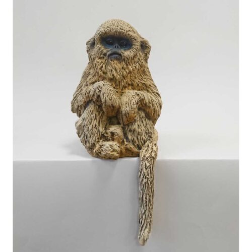 Julian Jardine - Baby Snub-Nosed Monkey