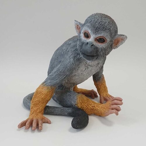 Julian Jardine - Squirrel Monkey