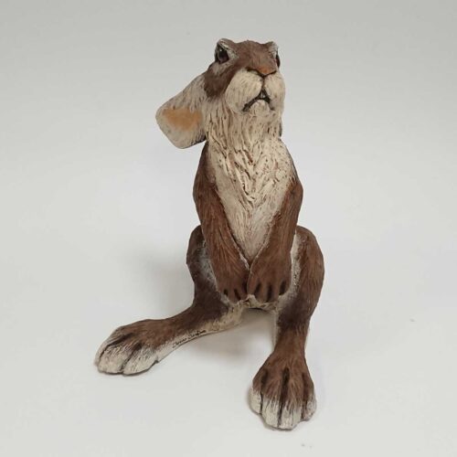 Julian Jardine - Standing Hare