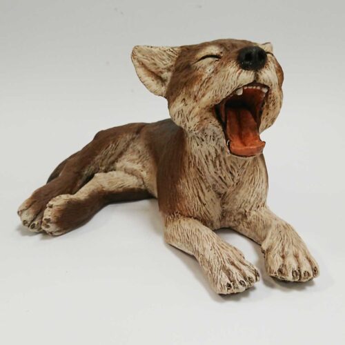Julian Jardine - Yawning Grey Wolf Cub front view
