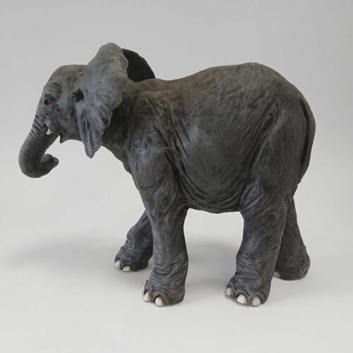 Julian Jardine - Young Elephant