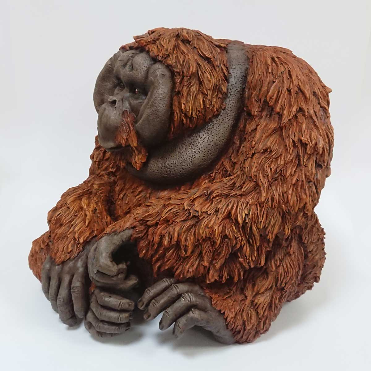 Julian Jardine - Adult Male Orangutan final side