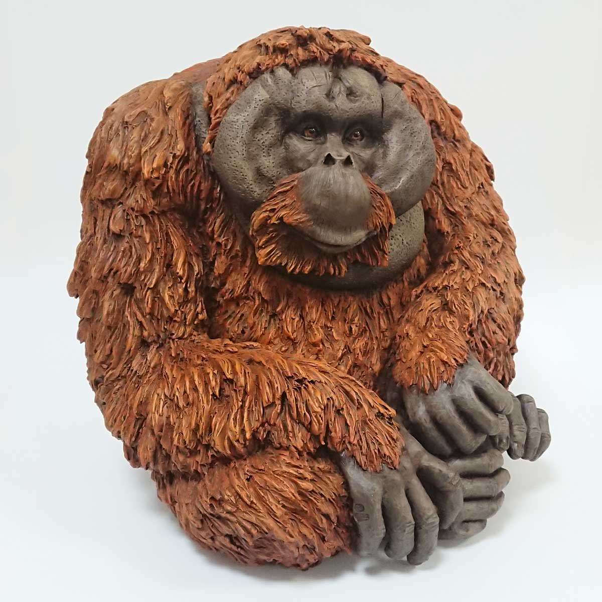Julian Jardine - Adult Male Orangutan final