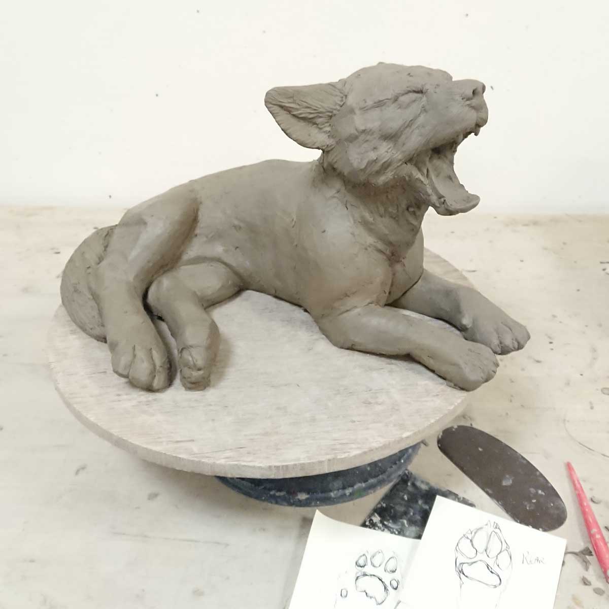 Julian Jardine -preparing the wolf cub for casting (1)