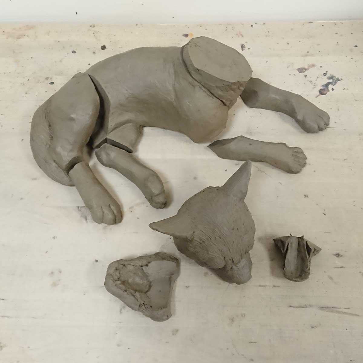Julian Jardine -preparing the wolf cub for casting (9)