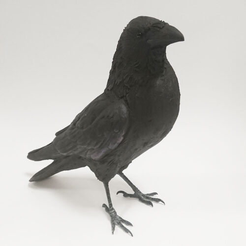 Karen Fawcett - Crow