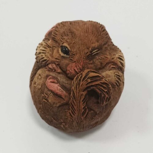 Karen Fawcett - Dormouse
