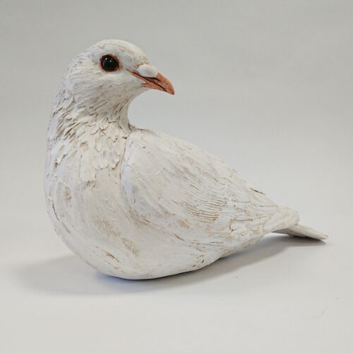 Karen Fawcett - Dove