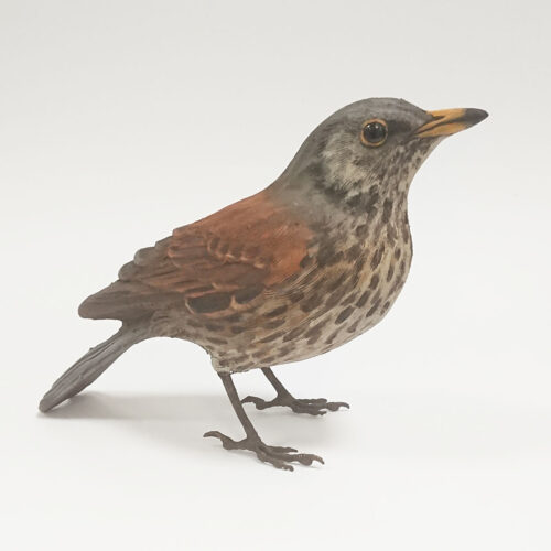 Karen Fawcett - Fieldfare