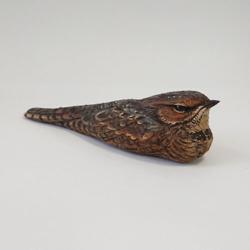 Karen Fawcett - Nightjar