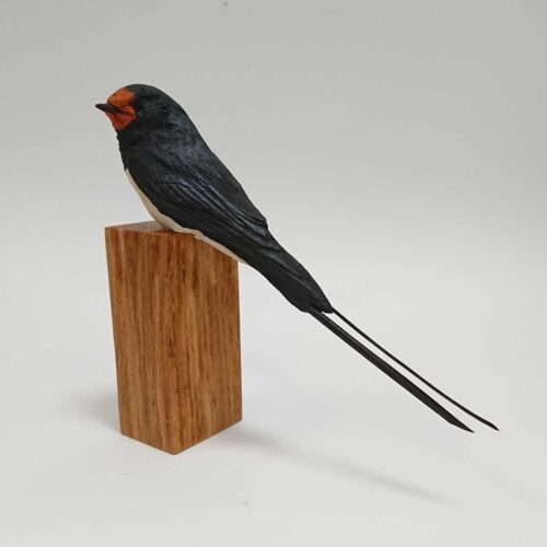 Karen Fawcett -Swallow