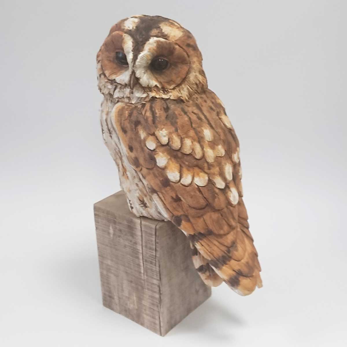 Karen Fawcett - Tawny Owl