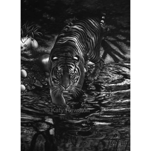 Katy Rewston - In the Forest of the Night