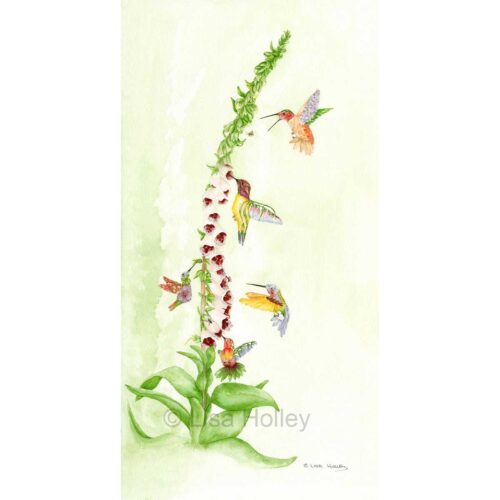 Lisa Holley - Flying Jewels