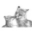 Marie Brown - Fox Kiss