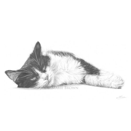 Lazy Days - print by Marie Brown