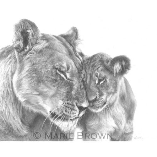 Marie Brown - Lion Love