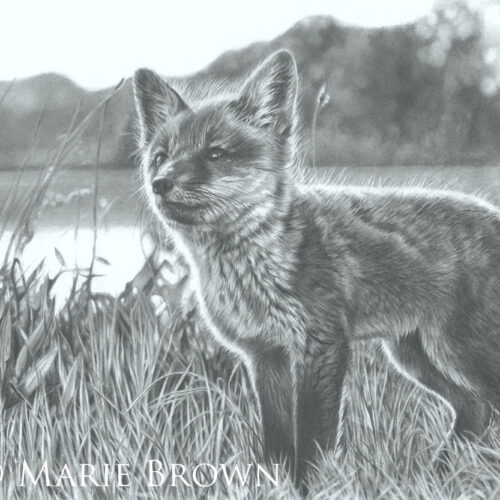 Marie Brown - Little Fox