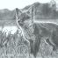 Marie Brown - Little Fox