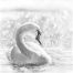 Marie Brown - Serene Beauty