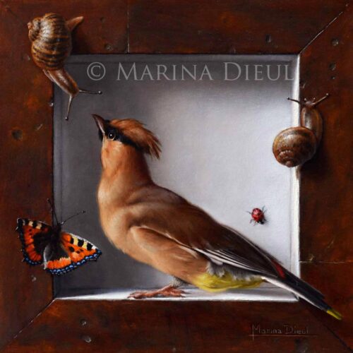 Marina Dieul - Conciliabule
