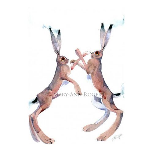 Mary-Ann Rogers - Boxing Hares