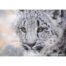 Natalie Mascall - Generations