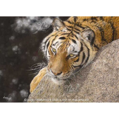 Natalie Mascall - Precious