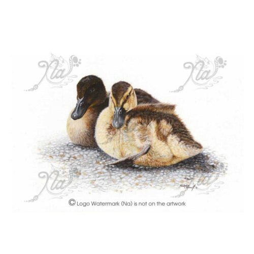 Natalie Mascall - Snuggle Up