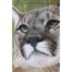 Natalie Mascall - Stunning, Puma