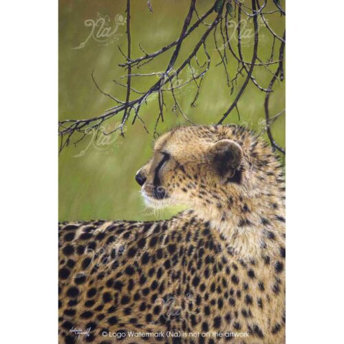 Natalie Mascall - Vigilance over the Mara