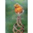 Nick Day - Robin in the Garden