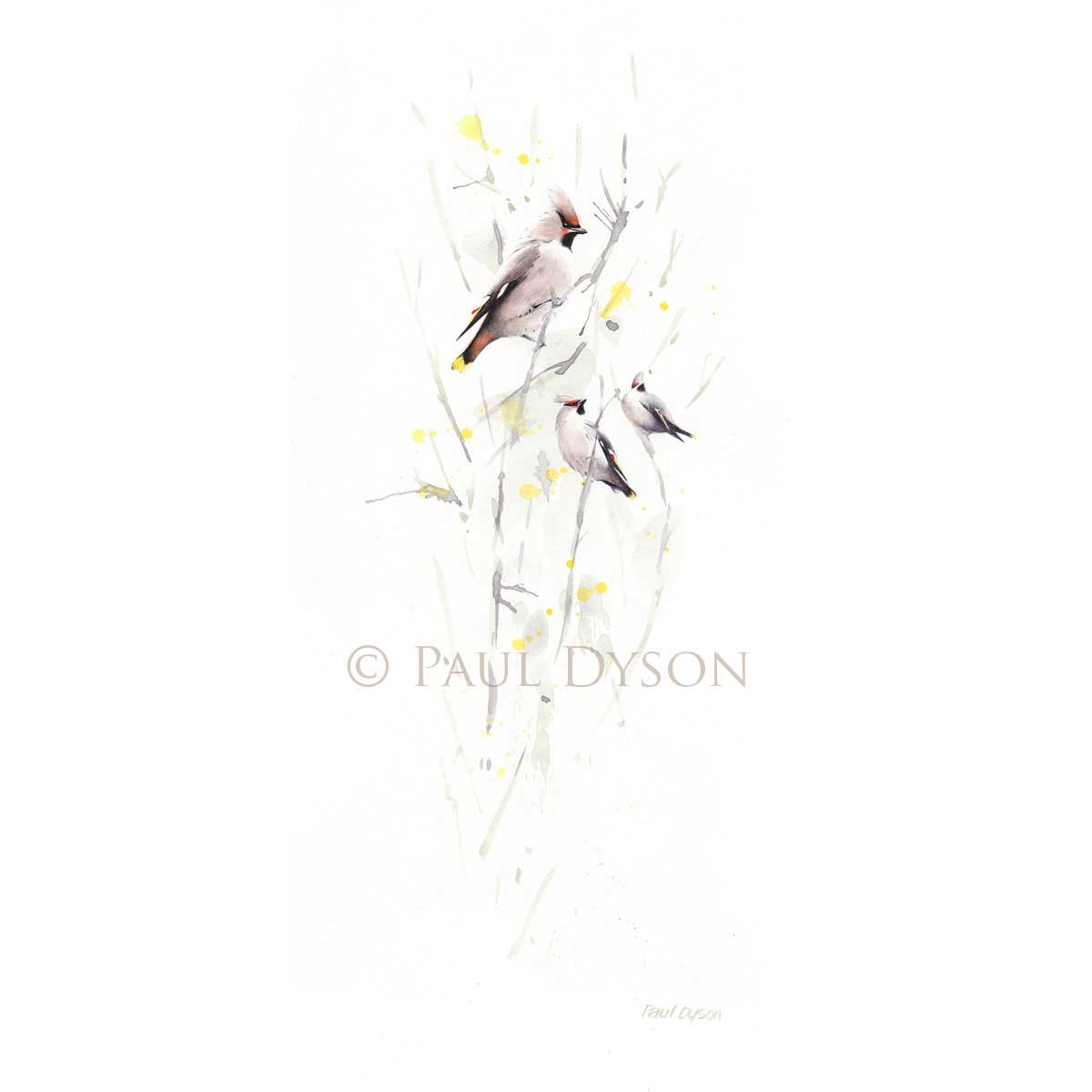 Paul-Dyson-Fine-Dandy-1 Paul Dyson - Fine & Dandy
