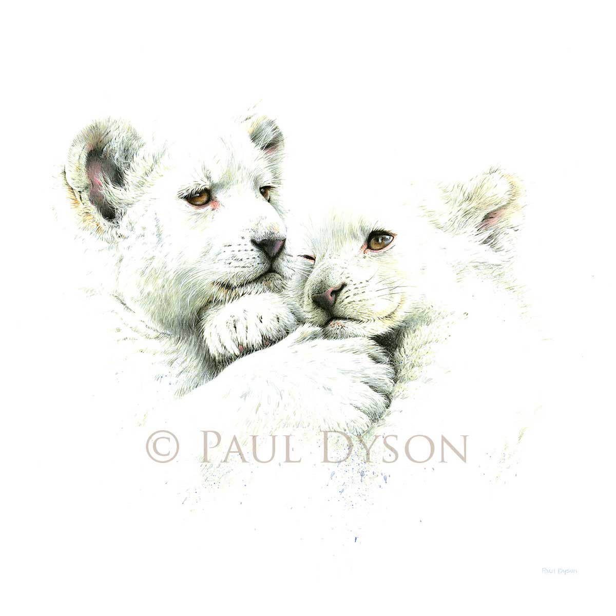 Paul-Dyson-Harmony Paul Dyson - Harmony