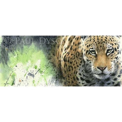 Paul Dyson - Jungle Spirit
