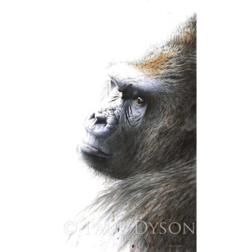 Paul Dyson - Old Fella