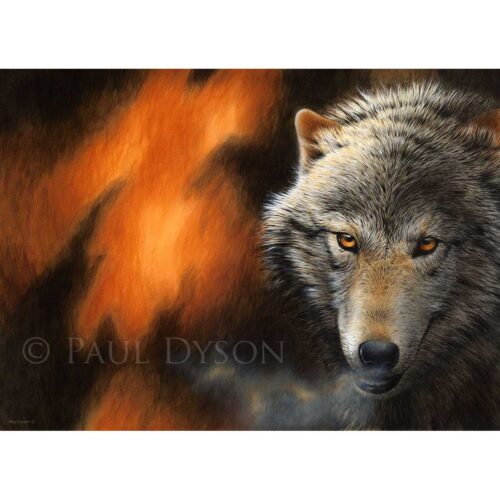 Paul Dyson - On the Prowl