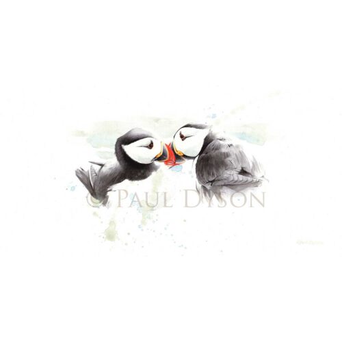 Paul Dyson - Perfect Partners
