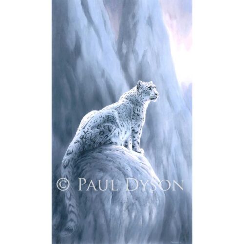 Paul Dyson - Silver Shadow