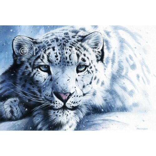 Paul Dyson - Snow Prince