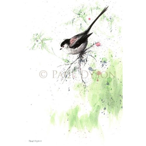 Paul Dyson - Sitting Pretty