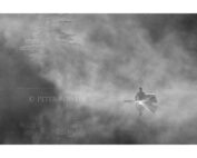 Peter Bowers - Solo Paddler,Basshaunt Lake