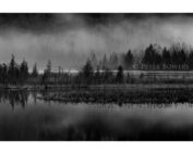 Peter Bowers - November, Gull River