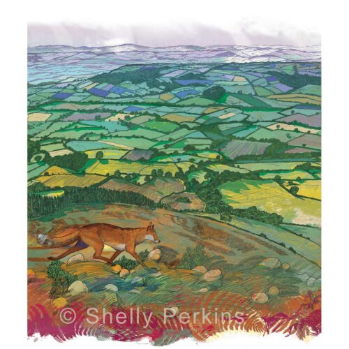 Shelly Perkins - Fox Trot