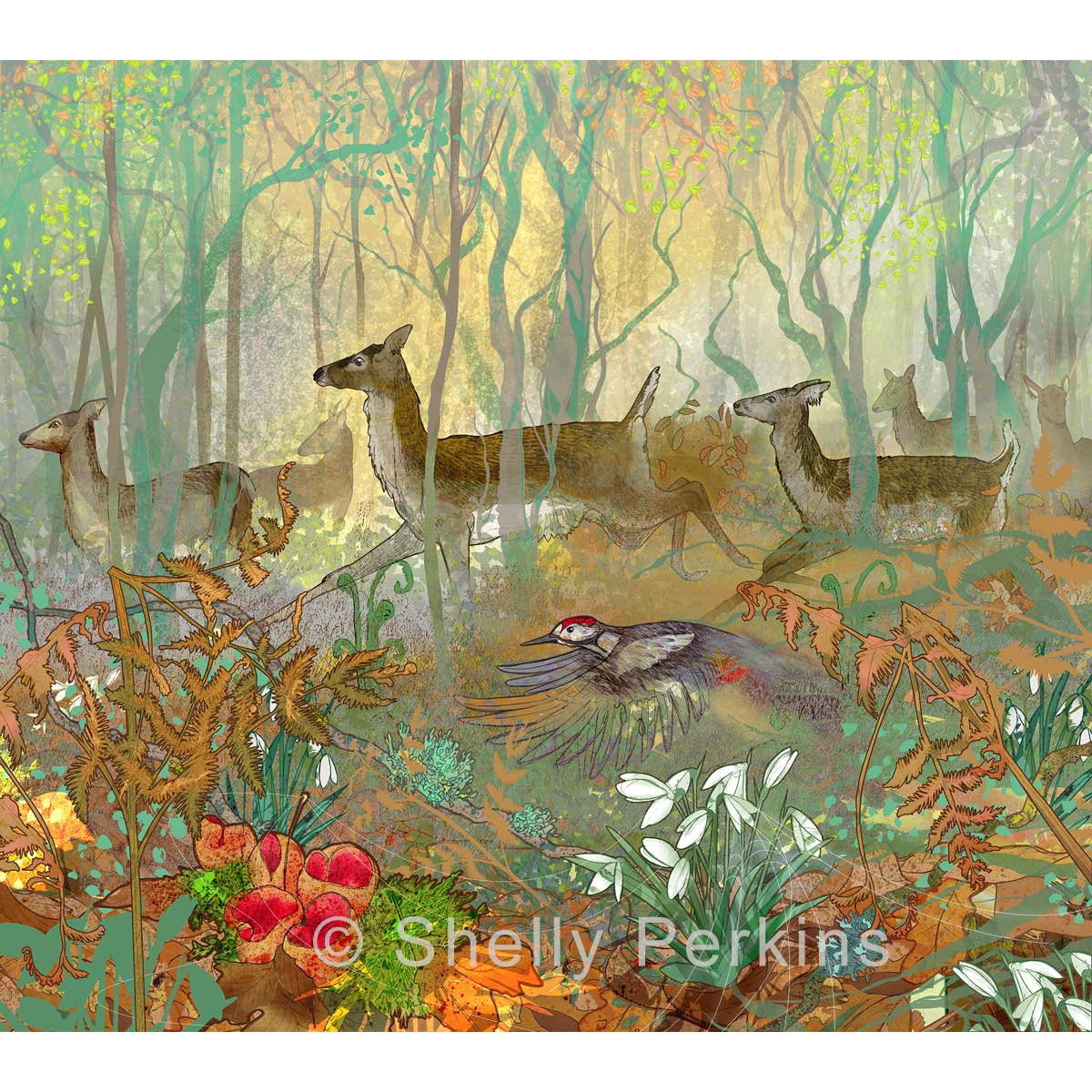 Shelly-Perkins-spring-emerges Shelly Perkins - Spring Emerges